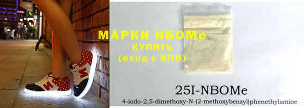 стаф Инта