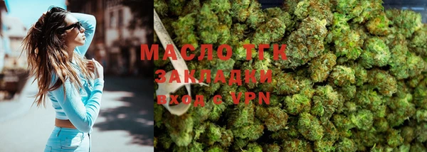 крисы Касимов