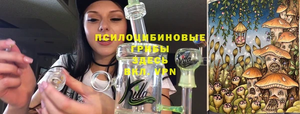 крисы Касимов