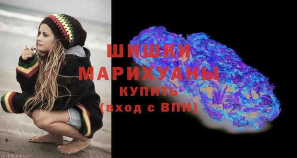 крисы Касимов