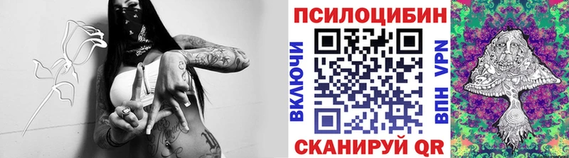 закладка Чита Галлюциногенные грибы Psilocybine cubensis